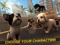 Cкриншот My Puppy Dog & Friends . First Pet City Running, изображение № 918552 - RAWG