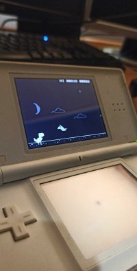 Cкриншот T-Rex game NINTENDO DS, изображение № 2574515 - RAWG