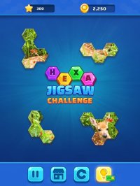 Cкриншот Hexa Jigsaw Challenge, изображение № 2644366 - RAWG