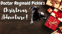 Cкриншот Doctor Reginald Pickle's Christmas Adventure, изображение № 2606185 - RAWG