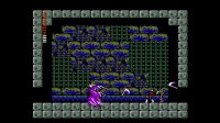 Cкриншот Castlevania II: Simon's Quest (1987), изображение № 767885 - RAWG