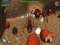 Cкриншот Ant Simulation 3D, изображение № 2174327 - RAWG