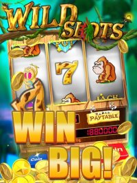 Cкриншот AE Slot Machine, изображение № 1819242 - RAWG