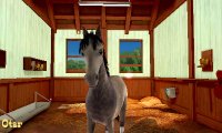 Cкриншот My Riding Stables 3D - Jumping for the Team, изображение № 243847 - RAWG