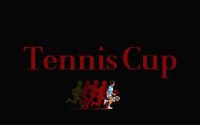 Cкриншот Davis Cup Tennis, изображение № 731518 - RAWG