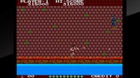 Cкриншот Arcade Archives THE LEGEND OF KAGE, изображение № 27445 - RAWG