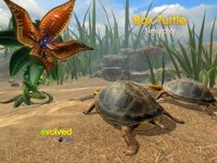 Cкриншот Box Turtle Simulator, изображение № 2367070 - RAWG