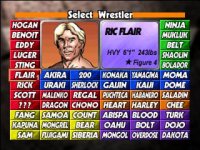 Cкриншот WCW vs. the World, изображение № 765360 - RAWG