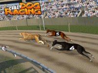 Cкриншот Crazy Dog Racing: Chase Racing Bunny With Pet Dog, изображение № 1780120 - RAWG