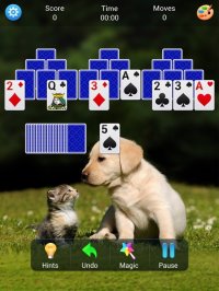 Cкриншот Solitaire Collection (Classic), изображение № 3429663 - RAWG