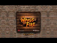 Cкриншот Wings Of Fire - Endless Flight, изображение № 1989874 - RAWG