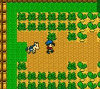 Cкриншот Harvest Moon, изображение № 806534 - RAWG