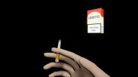 Cкриншот Quit Smoking VR Therapist, изображение № 3510461 - RAWG