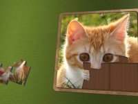 Cкриншот Super Jigsaws Kittens, изображение № 1955014 - RAWG