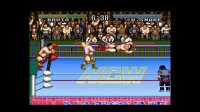 Cкриншот Natsume Championship Wrestling, изображение № 797729 - RAWG
