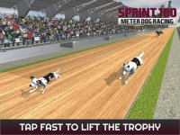 Cкриншот Sprint 100 Meter Dog Racing: Race Dogs On Tracks, изображение № 1780158 - RAWG