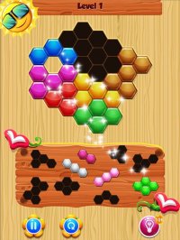 Cкриншот The Hexa Block Puzzle, изображение № 1655011 - RAWG