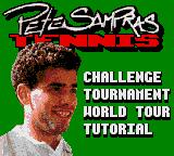 Cкриншот Pete Sampras Tennis (1994), изображение № 760026 - RAWG