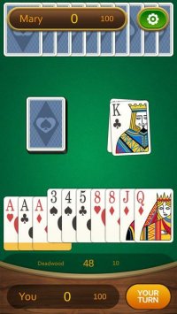 Cкриншот Gin Rummy Pro, изображение № 2898543 - RAWG