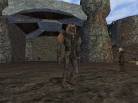 Cкриншот Dark Age of Camelot: Shrouded Isles, изображение № 369122 - RAWG