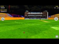 Cкриншот Cricket Run Out 3D, изображение № 1729262 - RAWG