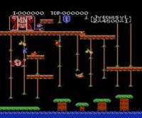 Cкриншот Donkey Kong Jr., изображение № 822761 - RAWG