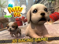 Cкриншот My Puppy Dog & Friends . First Pet City Running, изображение № 918544 - RAWG