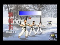Cкриншот Karate Master - Knock Down Blow, изображение № 1052253 - RAWG