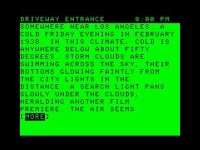 Cкриншот The Witness (1983), изображение № 750671 - RAWG