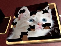 Cкриншот Jigsaw Solitaire Kitties, изображение № 1986718 - RAWG