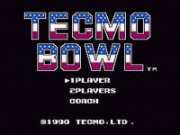 Cкриншот Tecmo Bowl, изображение № 783549 - RAWG