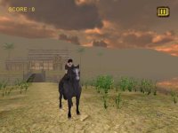 Cкриншот Jungle Wild Horse Racing, изображение № 1603972 - RAWG