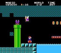 Cкриншот Super Mario Bros Lost-Land, изображение № 2105422 - RAWG