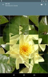 Cкриншот Jigsaw Puzzle: Flowers, изображение № 1497483 - RAWG