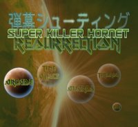 Cкриншот Super Killer Hornet: Resurrection, изображение № 191389 - RAWG