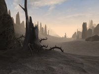 Cкриншот The Elder Scrolls III: Morrowind, изображение № 289976 - RAWG
