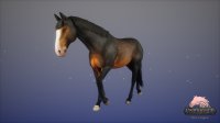 Cкриншот Unbridled: Horse Designer, изображение № 3545638 - RAWG