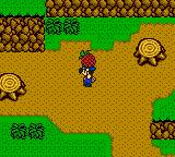 Cкриншот Harvest Moon 3 GBC (2000), изображение № 742788 - RAWG
