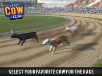 Cкриншот Cow Racing Free Game, изображение № 1780002 - RAWG