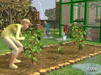 Cкриншот Sims 2: Времена года, The, изображение № 468855 - RAWG