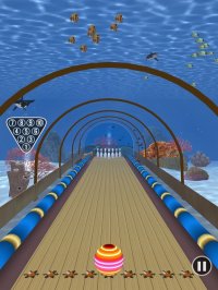 Cкриншот Amazing Bowling Paradise, изображение № 1664522 - RAWG