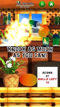 Cкриншот Can Toss Fun - Hit & Smash 3D, изображение № 1586173 - RAWG