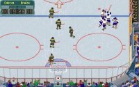 Cкриншот Wayne Gretzky Hockey 3, изображение № 3128054 - RAWG