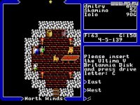 Cкриншот Ultima V: Warriors of Destiny, изображение № 766545 - RAWG
