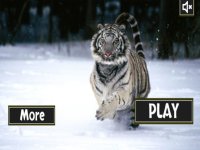 Cкриншот Ultimate Wild White Tiger Simulator, изображение № 1756785 - RAWG