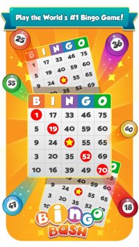 Cкриншот Bingo Bash, изображение № 691457 - RAWG