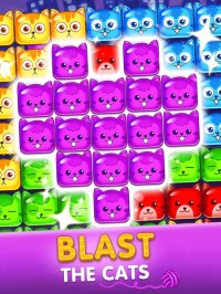 Cкриншот Cat Blast Pop, изображение № 1675338 - RAWG