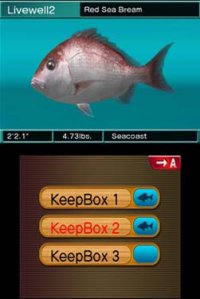 Cкриншот Reel Fishing 3D Paradise, изображение № 244188 - RAWG