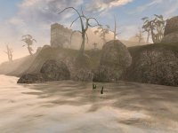 Cкриншот The Elder Scrolls III: Morrowind, изображение № 119025 - RAWG