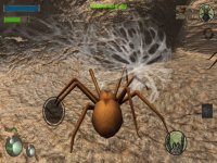 Cкриншот Spider Colony Simulator, изображение № 2174343 - RAWG